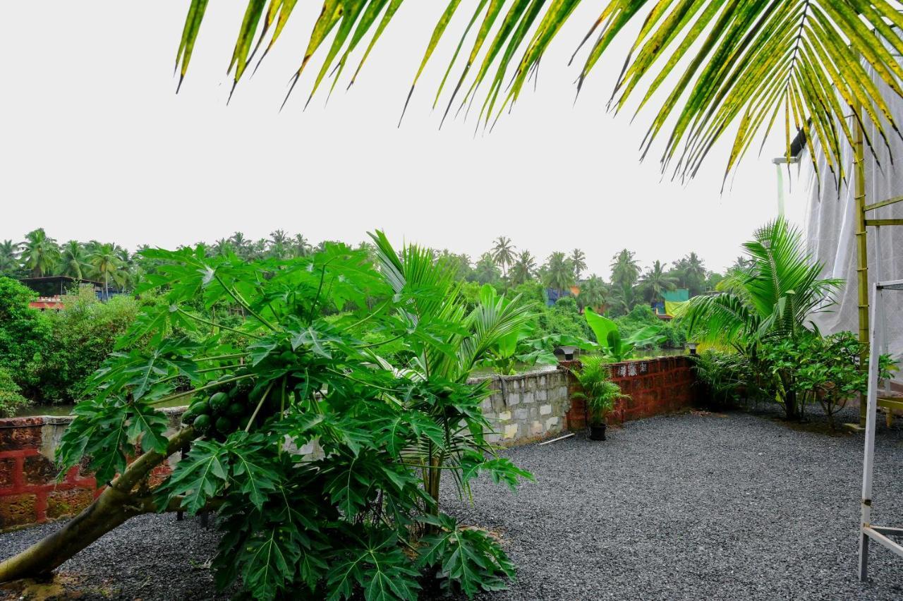 Hotel Vedana Retreat Arambol Exteriér fotografie
